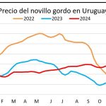 Mercado ganadero: meseta de precios para vacunos gordos en un escenario incierto por posibles paros