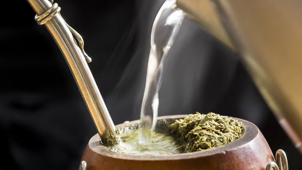 Crean la primera yerba mate “mineral” del mundo: en qué se diferencia a la tradicional