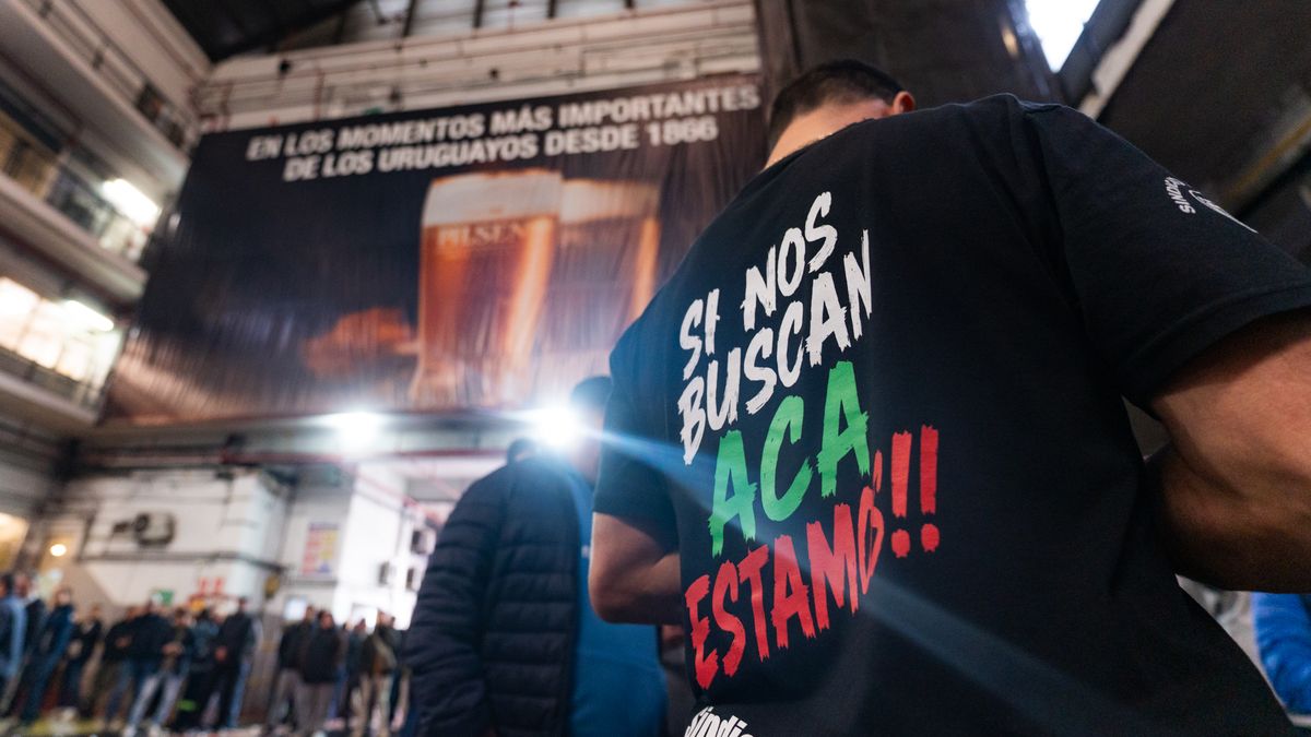 “Si nos buscan, acá estamos”: trabajadores de FNC no se reintegran a sus tareas en Montevideo y sindicato exige definiciones a la empresa